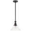 Chapman & Myers Boston Pendant-70515450-70515449
