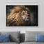 Animaux, lion, crinière de lion, jungle sur toile-93629164-93629165