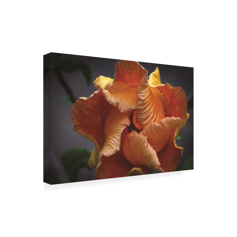 Œuvre d'art sur toile «Hibiscus jaune», H 30 po x l 47 po
