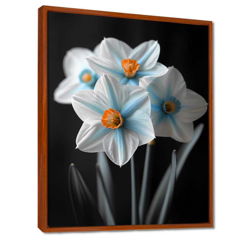 Monochromes Whimsy Wonderland Daffodils II - Jonquilles, art mural, H 34 po x l 44 po, Cadre flottant brun