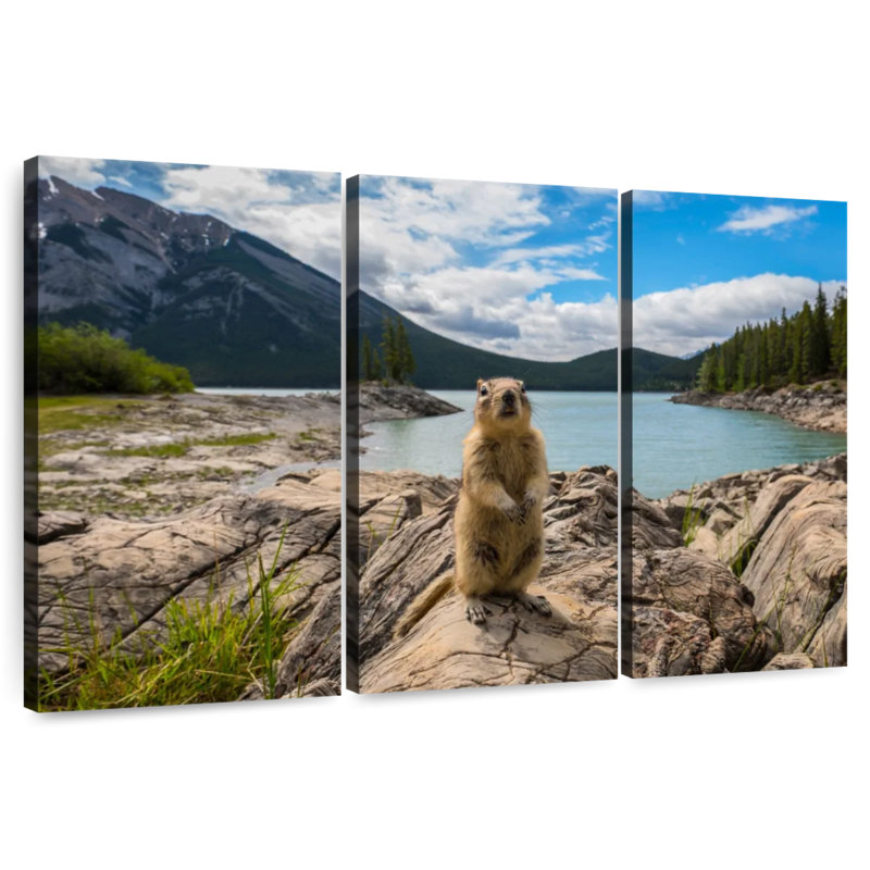 Brampt Adorable Chipmunk, 32" H x 50" W