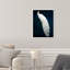 Habillé de plumes - impression-119403334-72500298-72500307