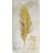 " Feather Live "-22481919