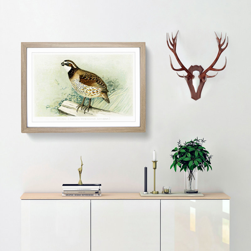 Quail by J.L. Ridgway - Picture Frame Painting Print, 48cm H x 65cm W x 2cm D, Oak Framed