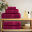 Nerte 100% Cotton Hand Towel-563477625-563477606