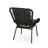 Chic Grey Chair, Seat, Iron Frame Modern Chair With Support And Spill- Cushion-190197205