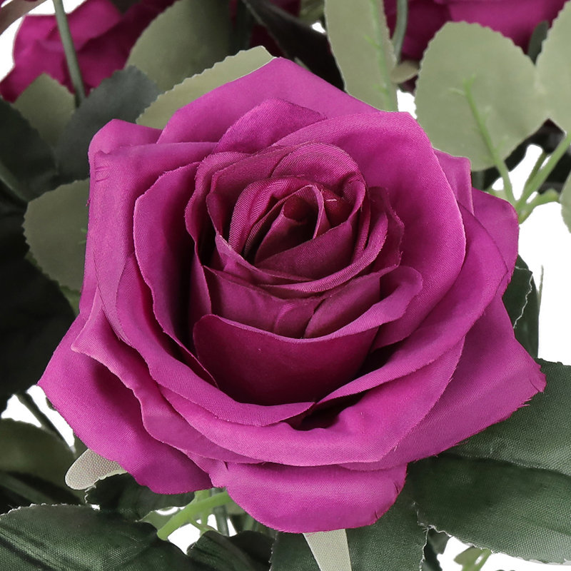Grand rosier Jaafer Deluxe, Prune fuchsia
