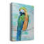 Island Parrot II - peinture sur toile tendue-1888645226
