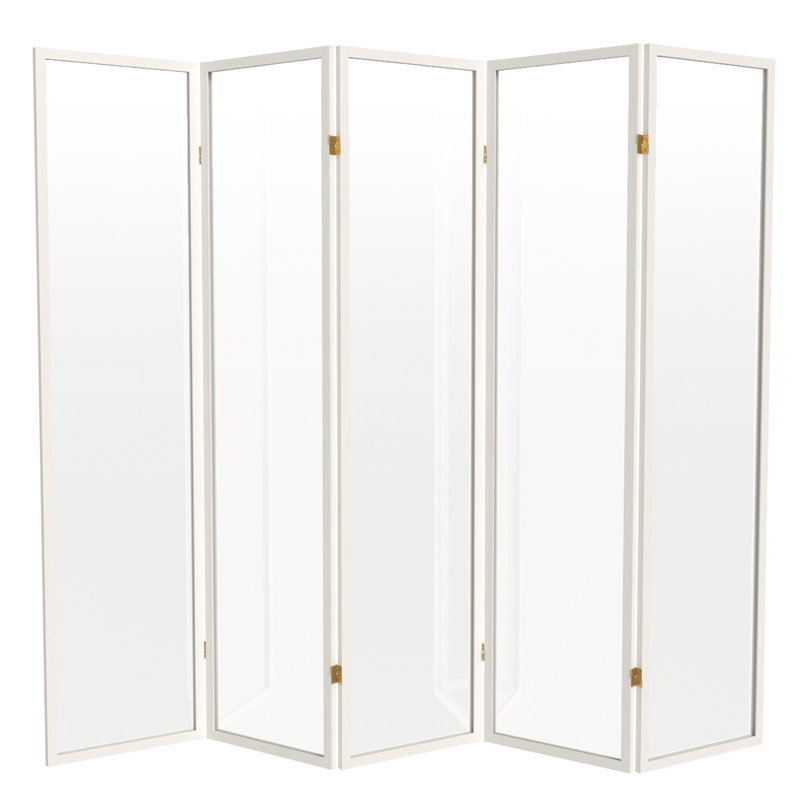 Cloison en plastique transparent Alayzhia, 5, 6 pi, Blanc