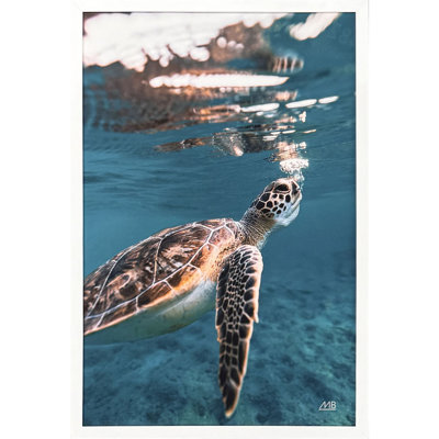 Blowing Bubbles Print by Blakesberg Paragon