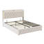 European Double & King Velvet Ottoman Bed With LED Storage Headboard, Frame With Charging Port, Beige-479244809
