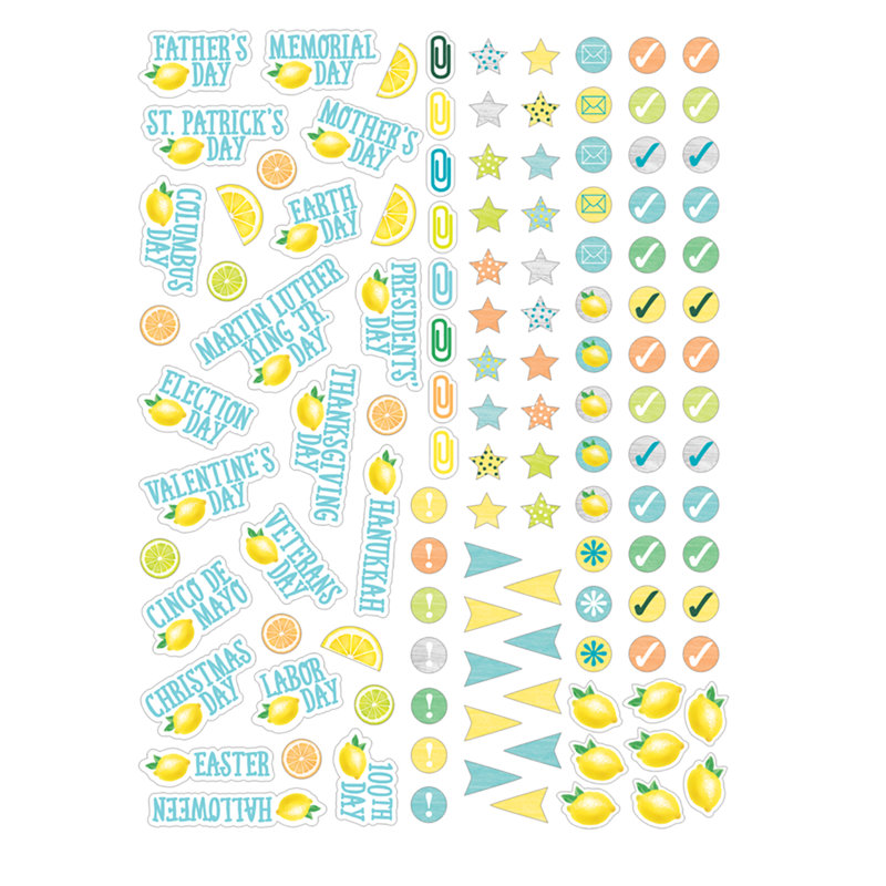 Teacher Created Resources Lemon Zest Lesson Planner