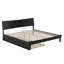 Phoenix Wood Platform Bed with Trundle-223210848-223210852