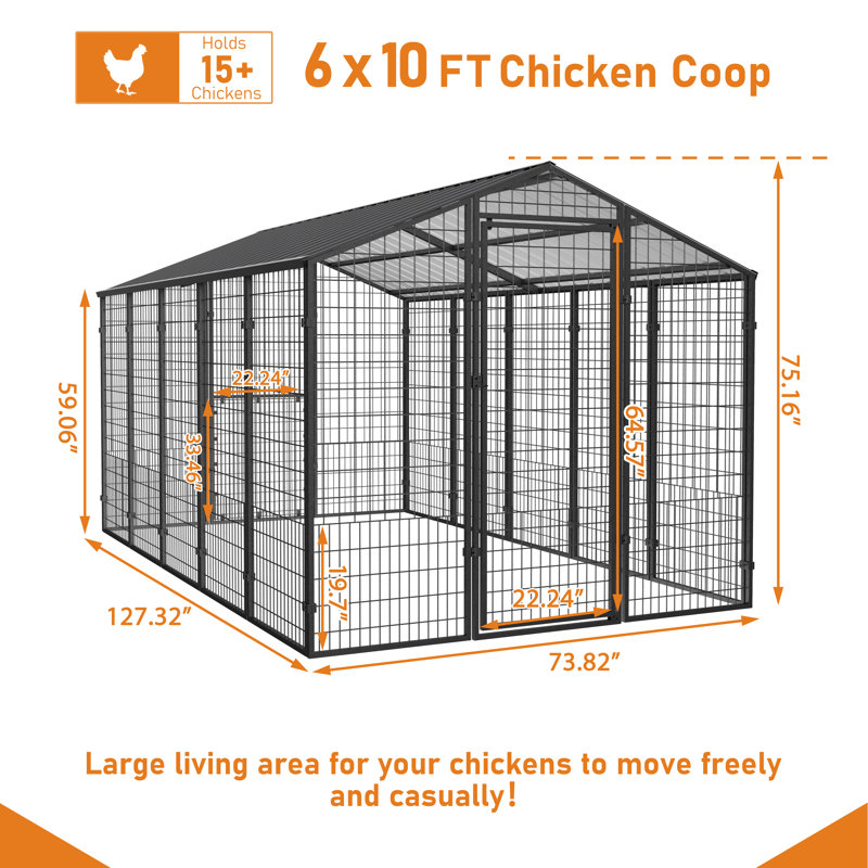 Poulailler de 10,6 pi x 6,2 pi avec toit en métal galvanisé avec espace d'activité pour au moins 15 poulets