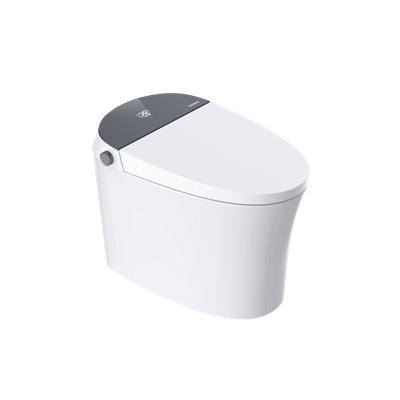 VEZENI Fully Automatic Smart Toilet With Grey Accent