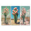 Pastel cactus en fleurs dans le désert I - ensemble de 3 cactus floraux, collection d'art mural-1116655088-1116655095-1116655098