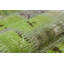Tapis vert Modern