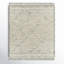 Hand Knotted Wool Moroccan Area Rug-1399909586