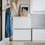 Shoe Storage Cabinet-840200338-815614739