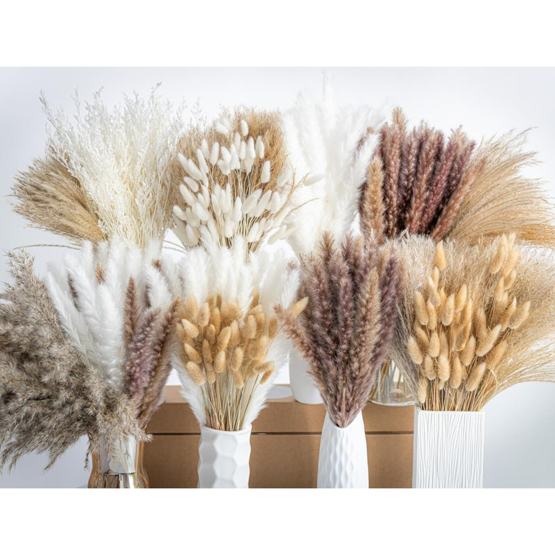 Didadi, 650 pièces d'herbe de pampa séchée naturelle, phrases de boho séchées pour des arrangements floraux de mariage, décorations de salon (650 pièces)