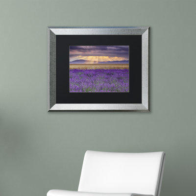 « lavandest », reproduction de photo sur toile encadrée