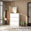 47.2'' H 18 Pair Shoe Storage Cabinet-456292178