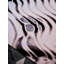 Chihuly Scallop Black Area Rug-179701706