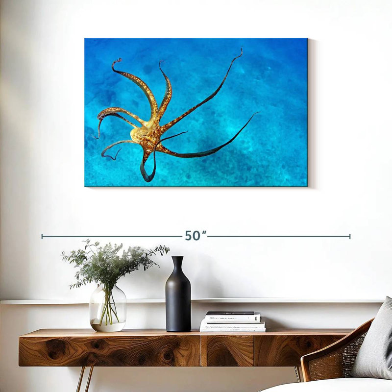 Brampt Wild Octopus Tentacles, 24" H x 36" W