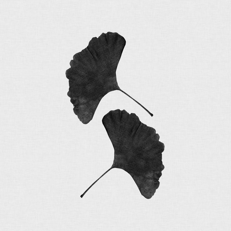 Orara Studio feuille de ginkgo noir et blanc II, H 36 po x l 36 po