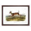 Long-Tailed Deer by J.W. Audubon - Picture Frame Painting Print-55759964-55759967
