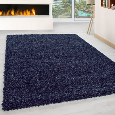 Riam Shag Area Rug