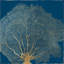 «Dovecove Wilson, Aimee», reproduction d'art sur toile tendue: Gold Coral II-226554108