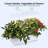NANAN Hydroponic Unit