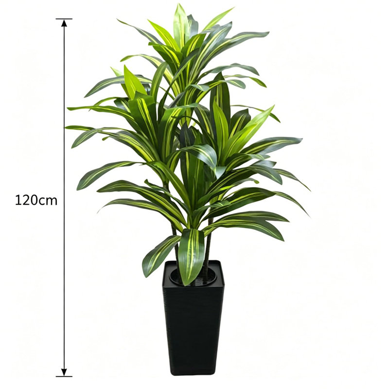 Artificial Dracaena Tree, 180cm H x 40cm W x 40cm D