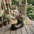 Marana Boot Ceramic Statue Planter