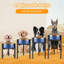 Support réglable pour bols pour chien