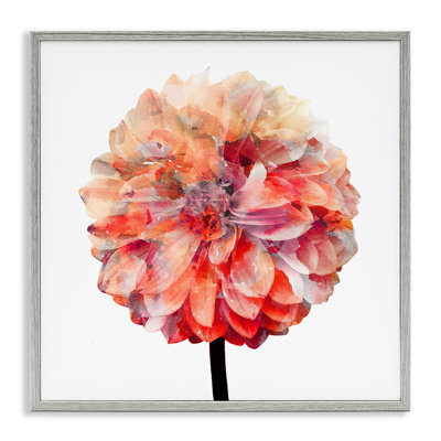 «Bright Coral Watercolor Bloom Dahlia Flower» par Kimberly Allen - reproduction d'art
