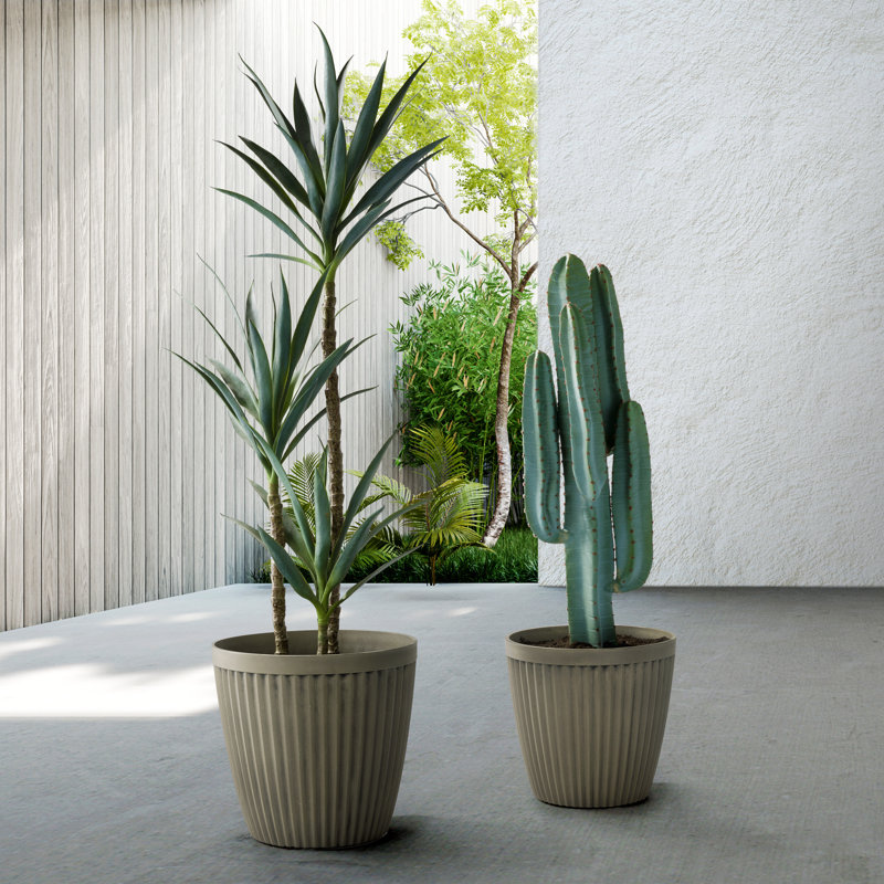 Pot Planter