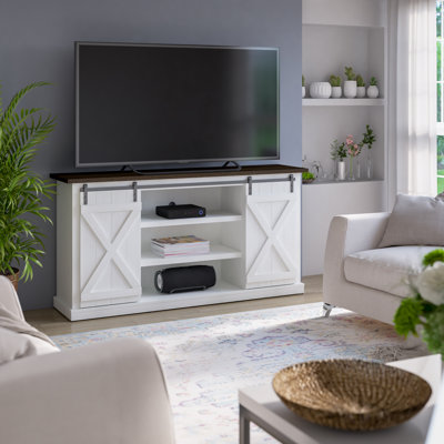Lorraine TV Stand with Sliding Barn Doors