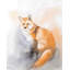 Renard aquarelle - décor de chambre orange mat