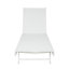 Ensemble de 2 chaises longues d'extérieur