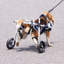 Fauteuil roulant pliable pour chien-111571773