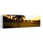 Golf Course At Sunset, Isla Navidad, Mexico Abstract Contemporary Palm Tree Sunset Landscape Wall Art-2125131628