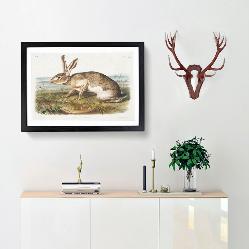 Texan Hare by J.W. Audubon - Picture Frame Art Print, 27cm H x 36cm W x 2cm D, Black Framed