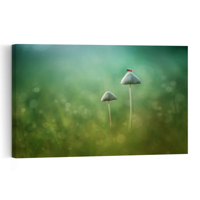 Ladybug On Mushroom Delicate Peaceful Tranquil Ladybug Forest Nature Wall Art Print by Edy Pamungkas - Print