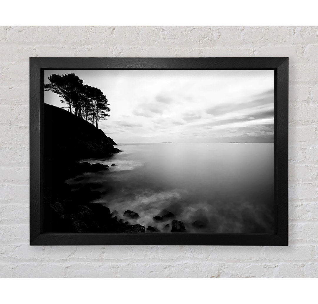 Gerahmtes Leinwandbild Tree Top Ocean Calm B N W