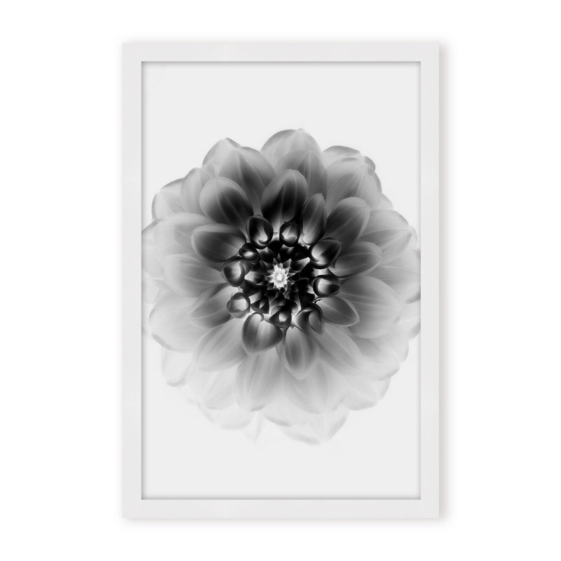 X-Ray Print by Alex Zhao, 48" H x 32" W x 1.125" D, Black, Framed Matted Print