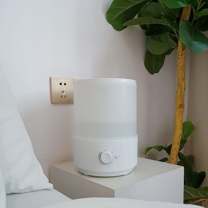 White 3L Cool Mist Humidifier with Oil Diffuser and Night Light