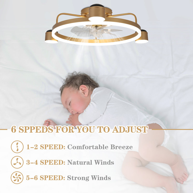 Starry Night Light 28" LED Gold Ceiling Fan with Dimmable Light and Remote Low Profile Fans
