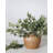 Olive Leaf Branch 33"